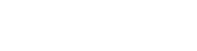 Flex Air